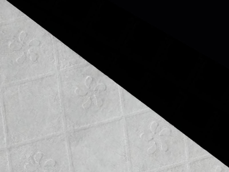 Țesătură de vascoză/pulp pentru hârtie igienică